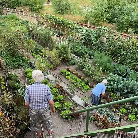 Hotel Des Roses Villeneuve