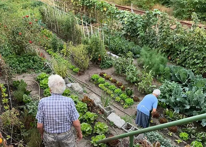 Hotel Des Roses Villeneuve